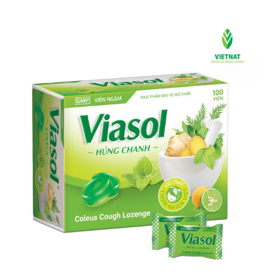 VIASOL Broadleaf Thyme